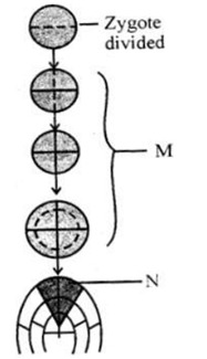 2019 KCET Solved Paper Biology