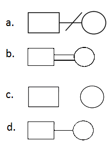 2019 Solved Papers Biology KCET