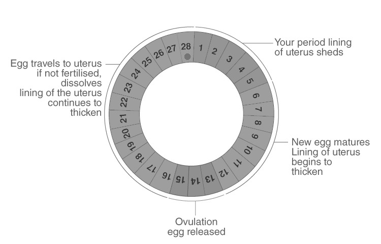 KCET 2019 Solutions Paper Biology