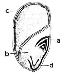 diagram identify the parts labelled